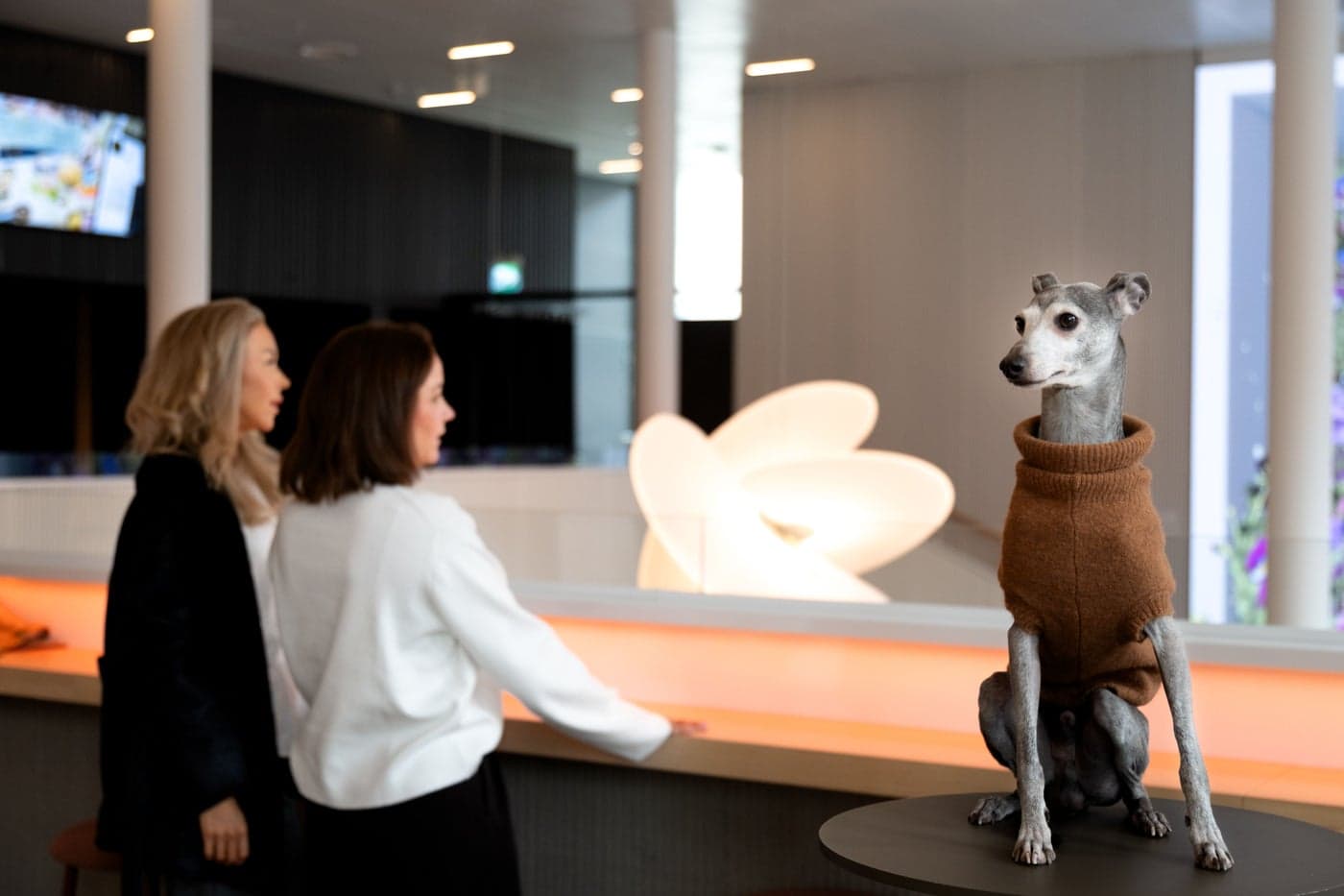 Cathleén Bäckström och Sandra Ambjörnsson sitter vid ett bord i intervju för Jönköpings-Posten.