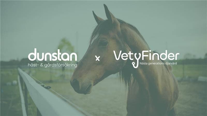 En häst står ute på en gård framför text om samarbetet mellan Dunstan och VetyFinder.